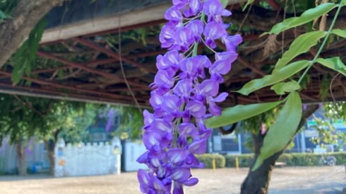 懐かしの池袋西武を訪れたら、八ヶ岳高原ロッジへと繋がった