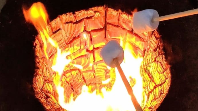 焼きマシュマロと夕暮れのばら園🌟グラッチェ