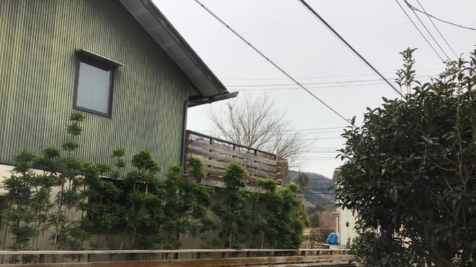 風邪を引きました