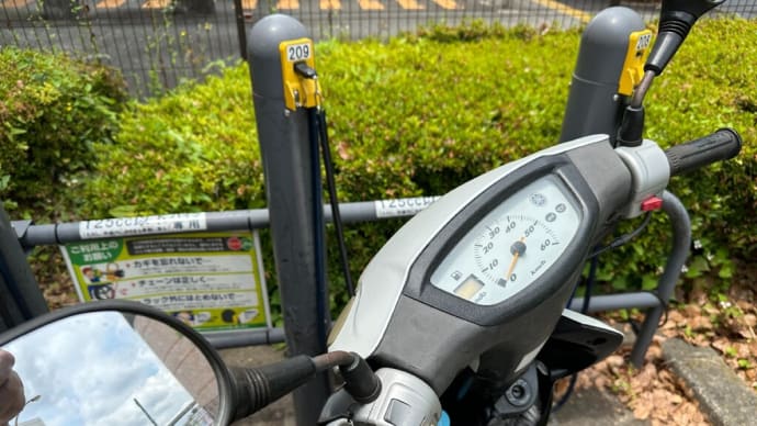 週末金曜日 今日の午前中は・・・