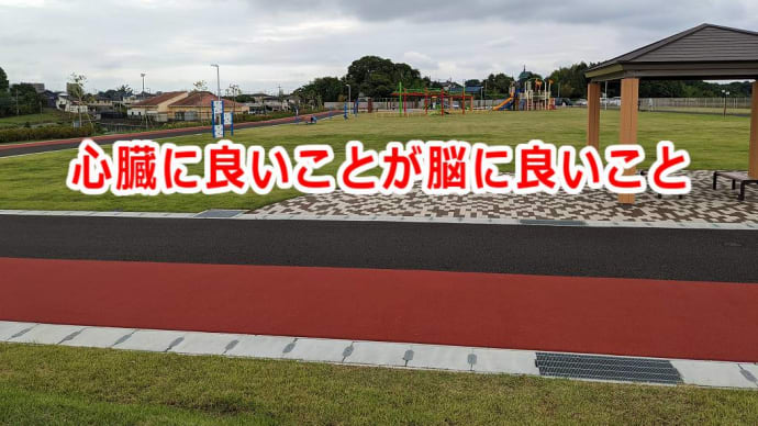 心臓に良いことが脳に良いこと