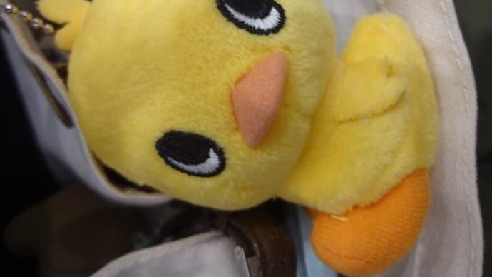 ねんきん定期便、届いていました。あ~、勘違い。