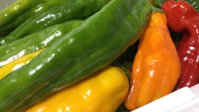 週末菜園カレンダー㊗️第二弾【こだわりの苗】夏野菜の植え付け。