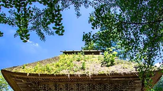 夏の広徳寺 2