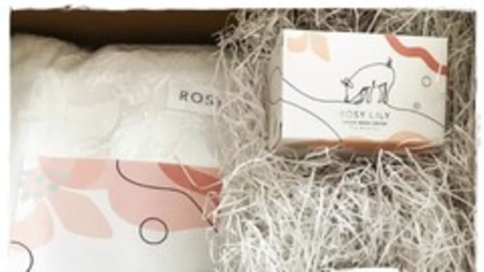 最近買ってよかったものその2 ROSY LILY 洗い流さないシューズシャンプー