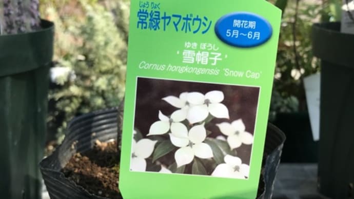 新居の説明 引き渡しまであと18日!