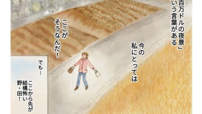 第1話 3page 私にとっての百万ドルの夜景