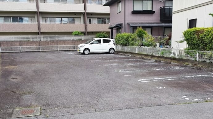【メゾンハーモニー駐車場】草取り