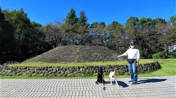 2021年10月23日(火) No.2 古墳公園