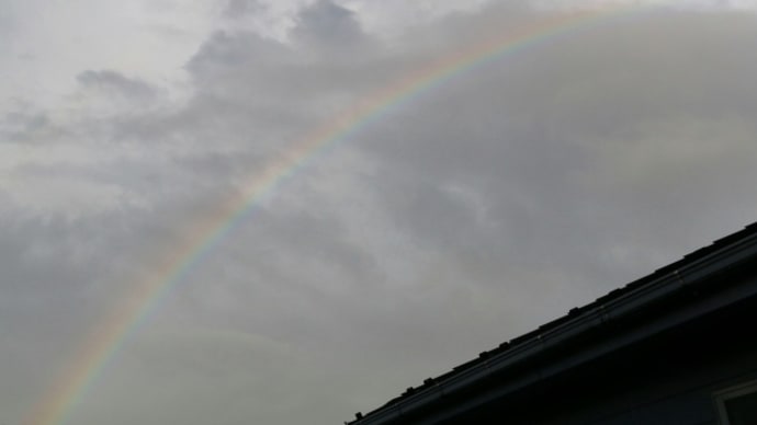 豪雨の後の虹