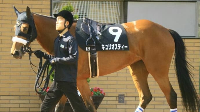 君の帰りを待っている