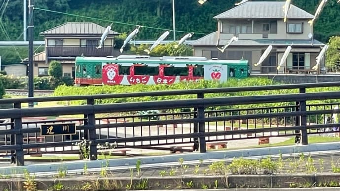 ボスくん去勢手術