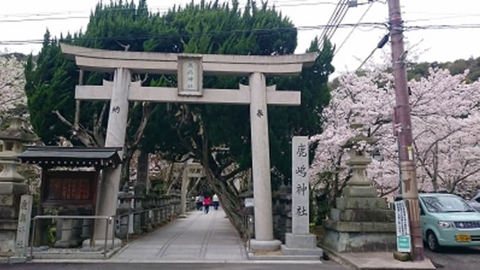 仕事関係の観桜会