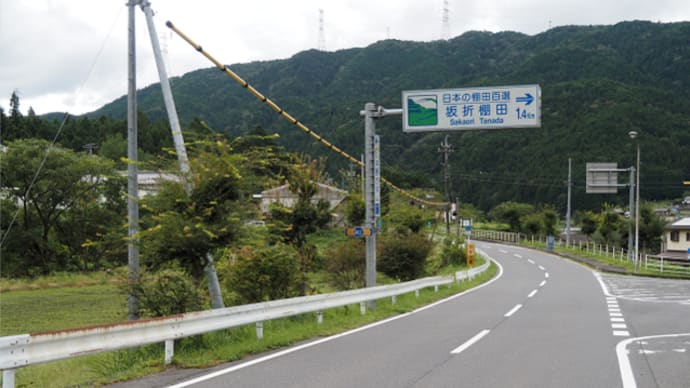 秋の棚田