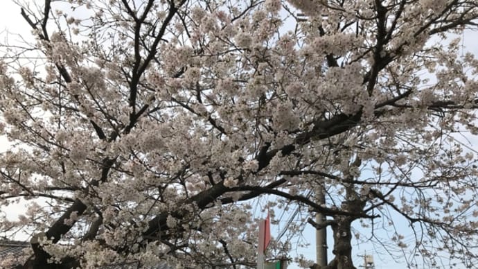 辛い事はしたくない 好きなものに囲まれたい
