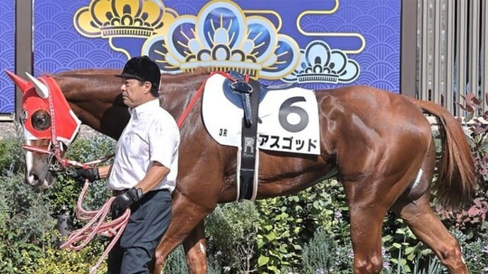 【アスゴッド】中1~2週でダート1400mあたりに続戦!