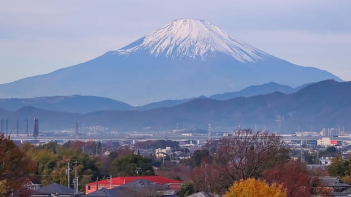 11/Dec 朝の富士山とイチと錦木とカワセミと紅葉