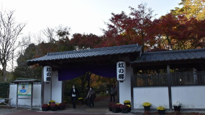 もみじ狩り　静岡県伊豆市修善寺　虹の郷　日本庭園（2）菖蒲の池