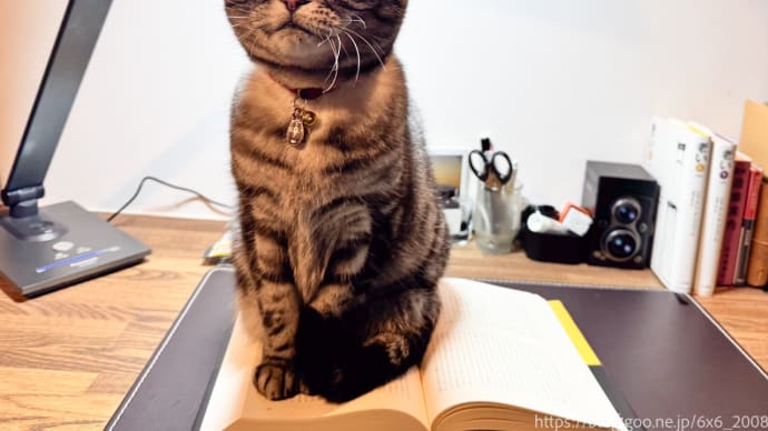 読書を阻止する者