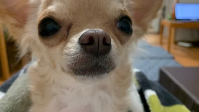 何でもそろうんだってね。