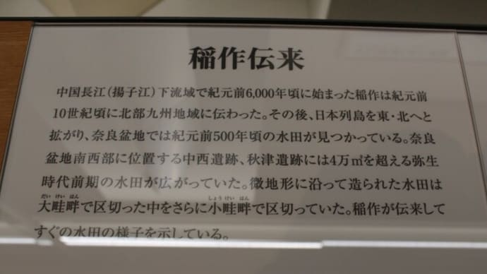 橿原考古学研究所付属博物館(5)