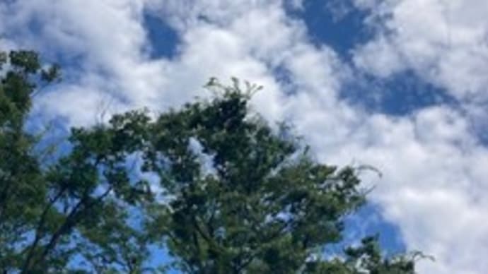 猛暑が続いてる・・・お気に入りの赤い籐の椅子