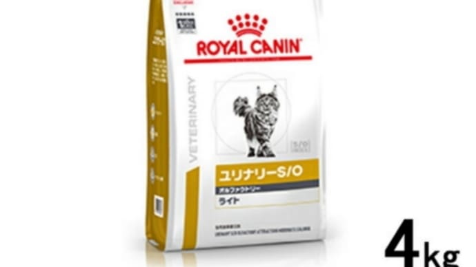 「朝のルーティーン」の巻