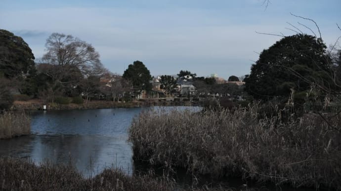 チョロっといつものこども自然公園