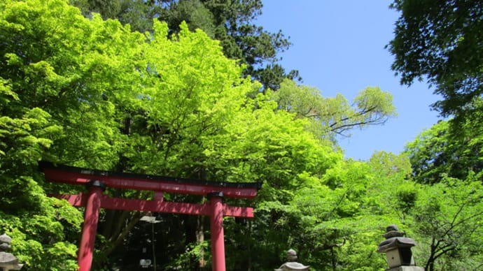 青紅葉に染まる談山神社！世界唯一の十三重塔　