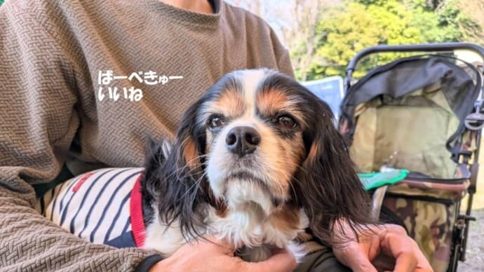 帰りはみんな仲良く宝船?@小菅ヶ谷北公園④