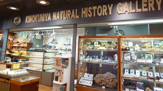 東京サイエンス新宿ショールームについて(化石鉱物販売店)