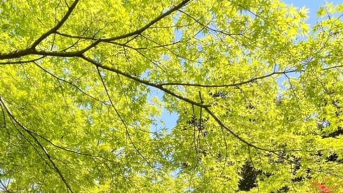 今度はライフスタイルについて:婦人公論.jp第3弾で取り上げられた『超訳 アドラーの言葉』