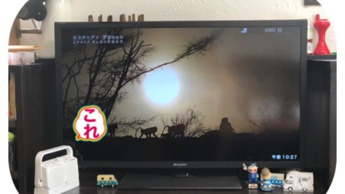 耳だって歳をとる (ノ_<)