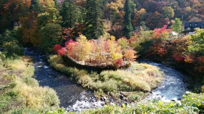 中野もみじ山紅葉
