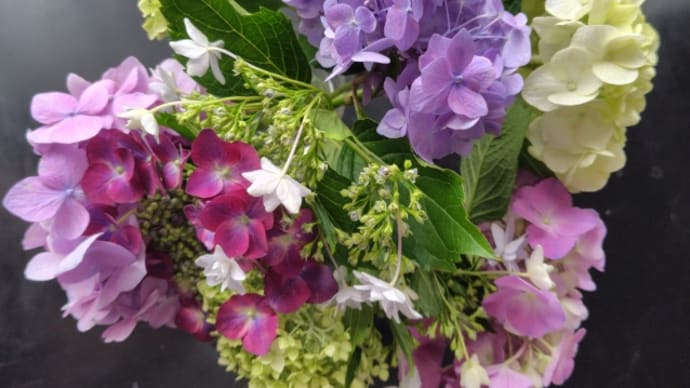 雨上がりの紫陽花