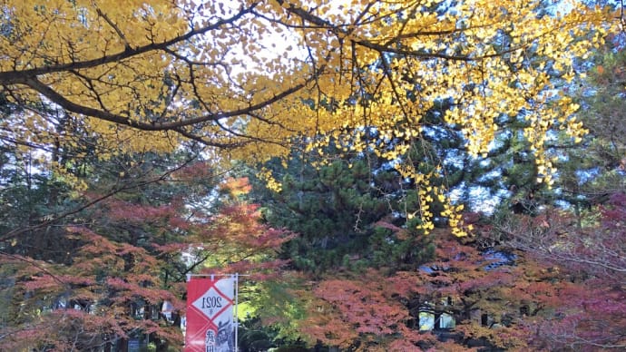 信玄公生誕500年記念「甲府三ヶ寺特別公開」が始まりました。