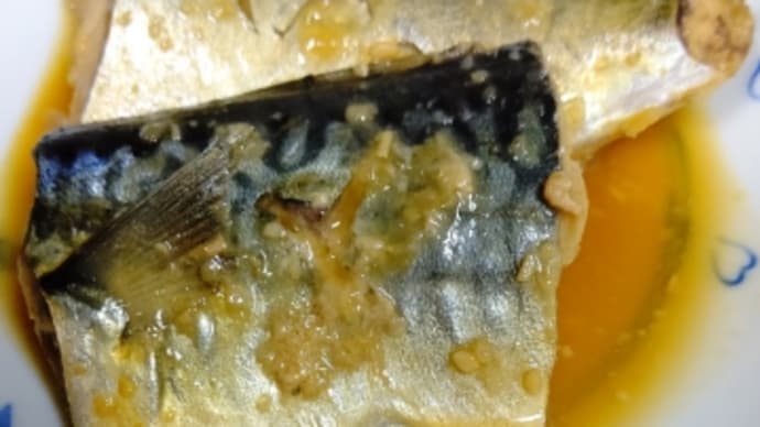 うちのごはん さばのみそ煮 と ハムサラダ と 冷奴(^.^)
