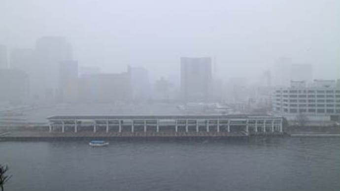 20220106東京下町にも雪