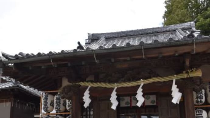 御岳神社　輪をくぐって参拝　　　4