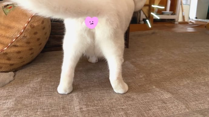 もうちょっと…