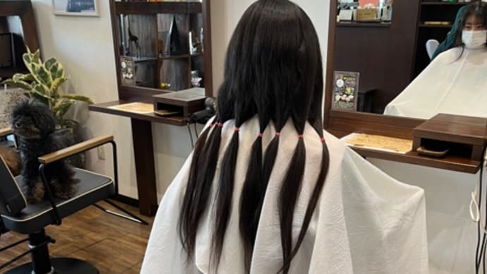 ヘアドネーション