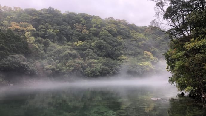 新緑の安房川