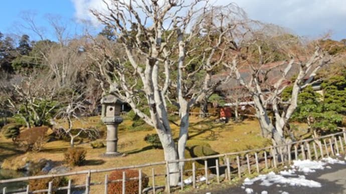 神社境内の様子 12月 ② & 近隣散策