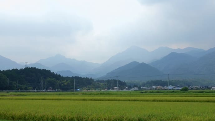 通院……歯科でした