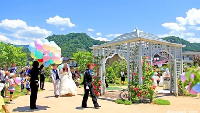 信州・中野にも素敵なバラ園が・・・・・!