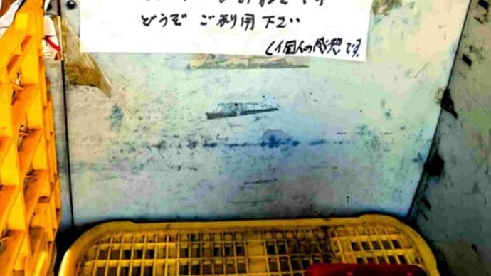 磐田白ネギに春が来た!!