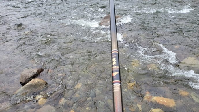 初アユ釣り(碓氷川松井田地区)・・・釣れんし小さいし(涙)