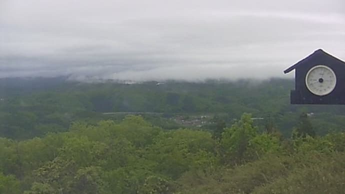 雨の日曜日