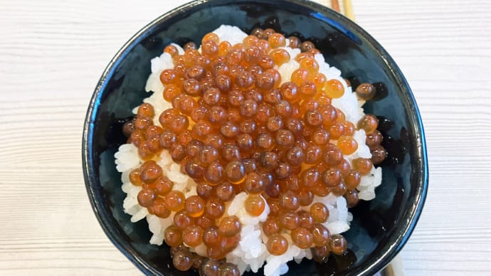 大先輩とのコラボ
