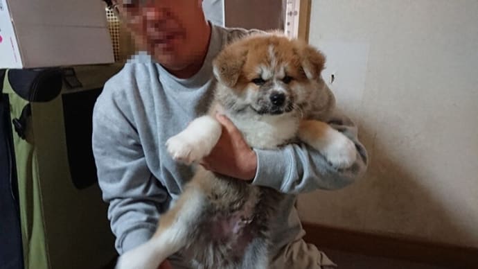 チャポン ちゃぽん チャポン